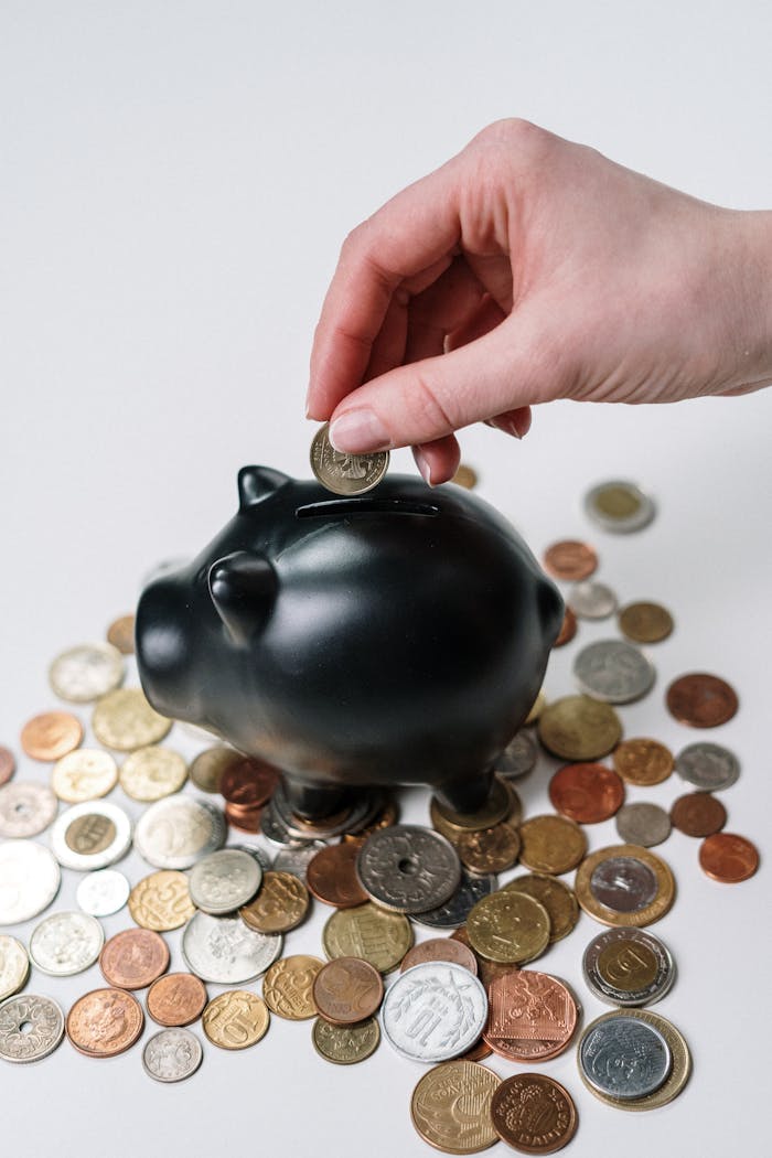 gallery-03 Hand inserting coin into a black piggy bank surrounded by various coins, symbolizing savings.